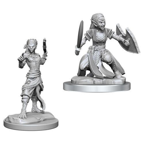 Nolzur's Marvelous Miniatures: Shifter Fighter