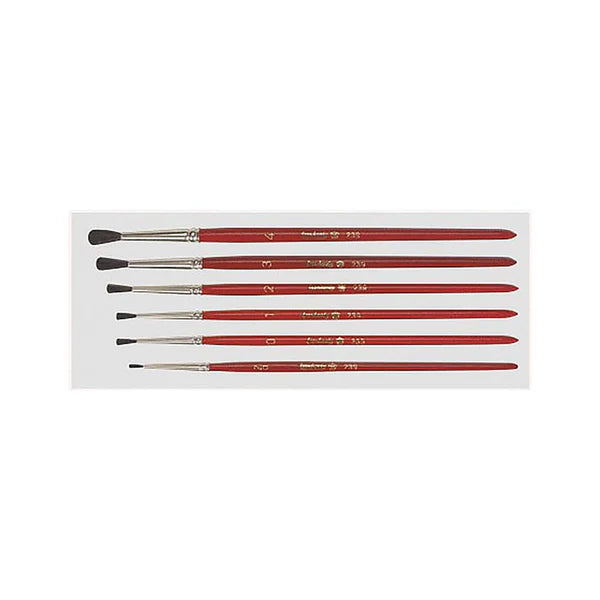 VP Leonhardy 6pc School Brush Set