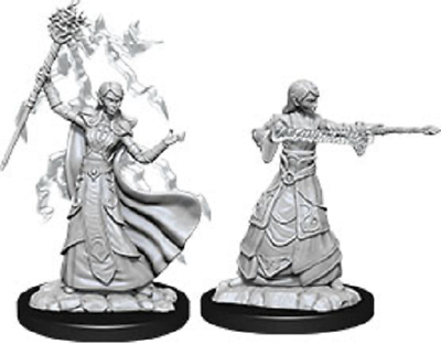 Nolzur's Marvelous Miniatures: Female Elf Wizard