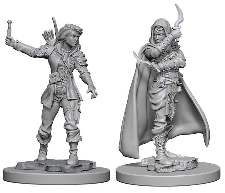Pathfinder Deep Cuts: Female Human Rogue