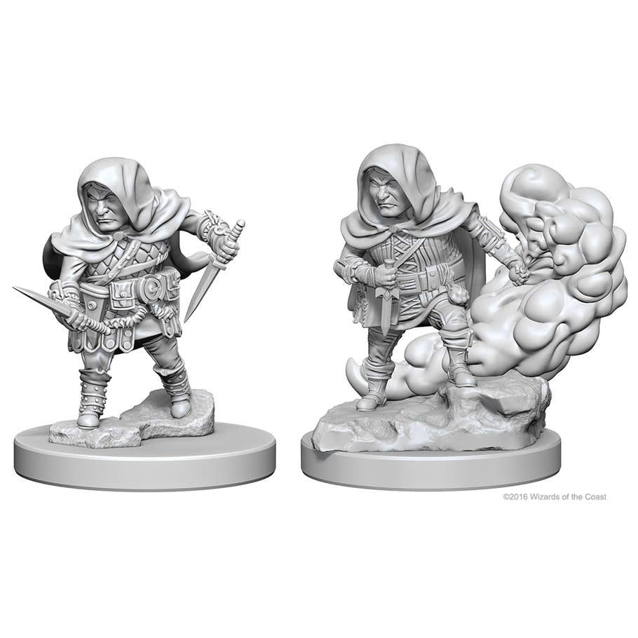 Nolzur's Marvelous Miniatures: Male Halfling Rogue