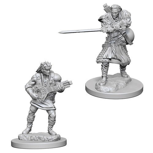 Nolzur's Marvelous Miniatures: Male Human Bard