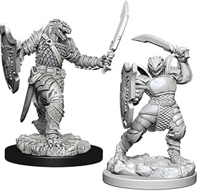 Nolzur's Marvelous Miniatures: Female Dragonborn Paladin