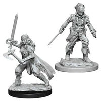 Nolzur's Marvelous Miniatures: Vampire Hunters