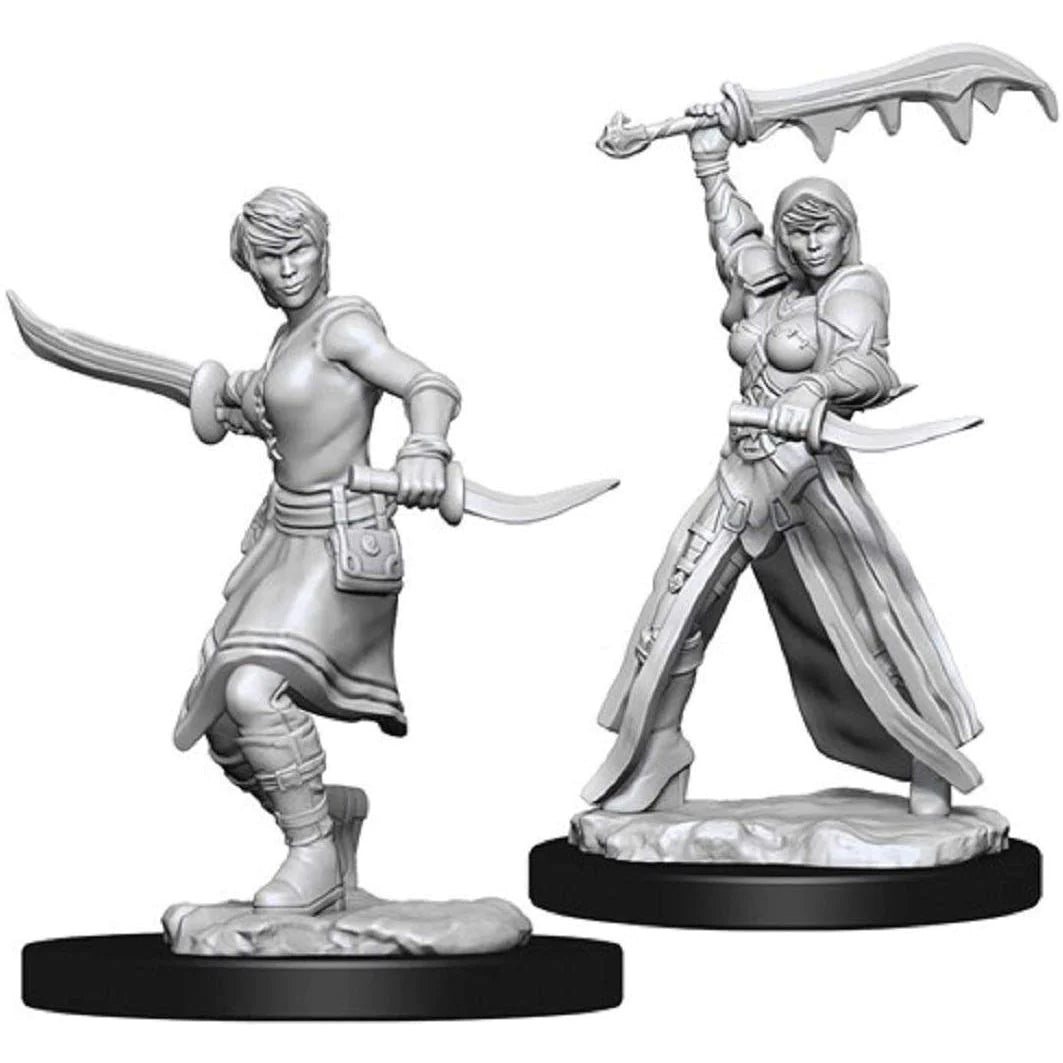 Nolzur's Marvelous Miniatures: Female Human Rogue