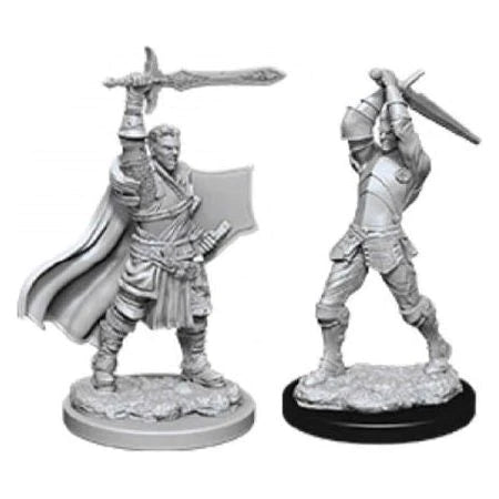 Nolzur's Marvelous Miniatures: Male Human Paladin
