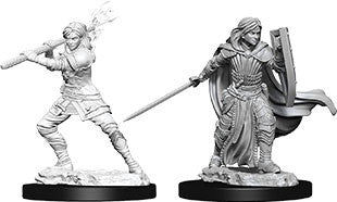Nolzur's Marvelous Miniatures: Female Human Paladin