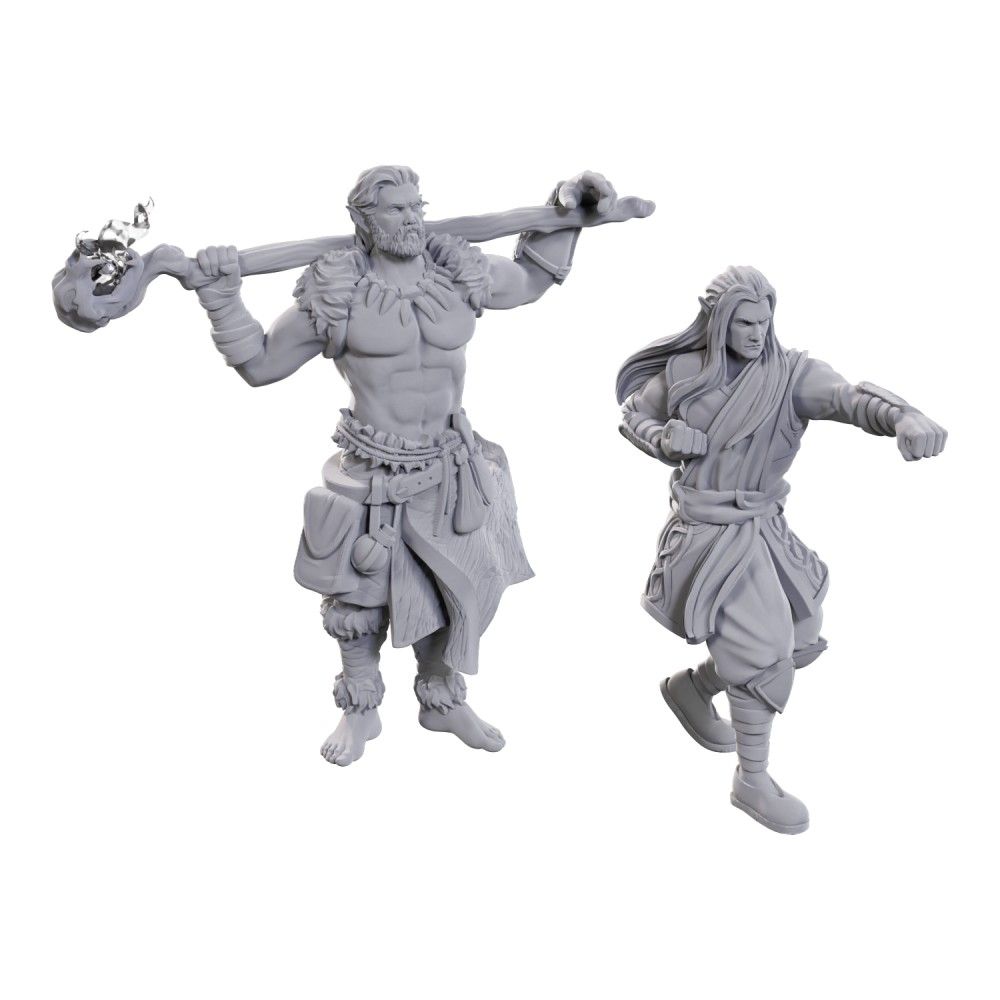 Nolzur's Marvelous Miniatures: Archdruid & Martial Arts Adept