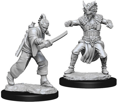 Nolzur's Marvelous Miniatures: Male Human Monk