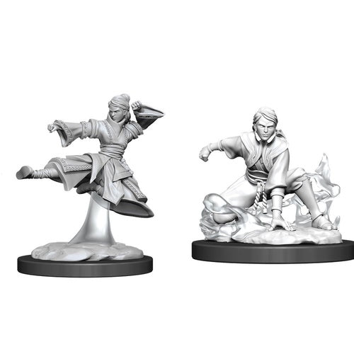 Nolzur's Marvelous Miniatures: Female Human Monk