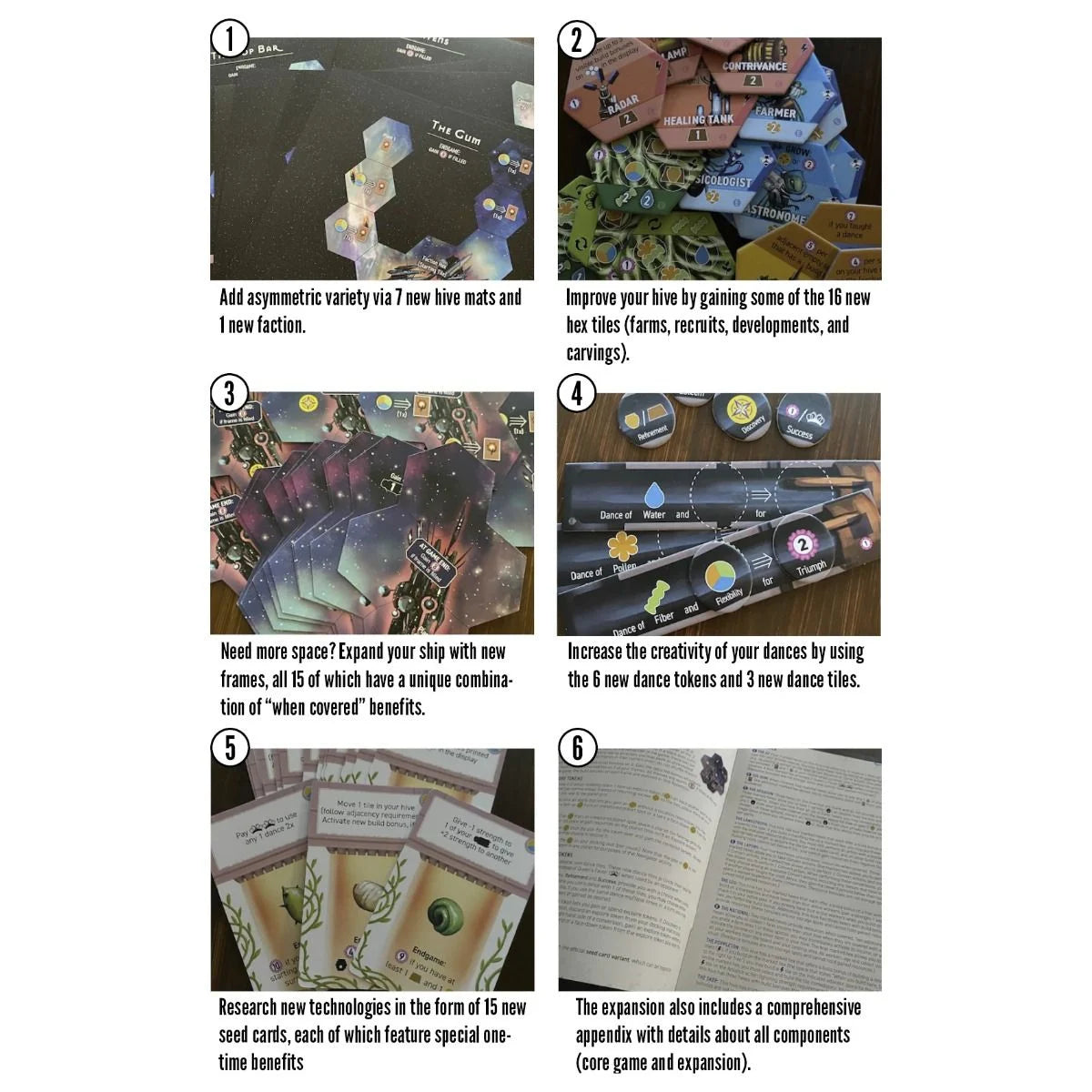 Apiary: Expanding the Hive (Expansion)