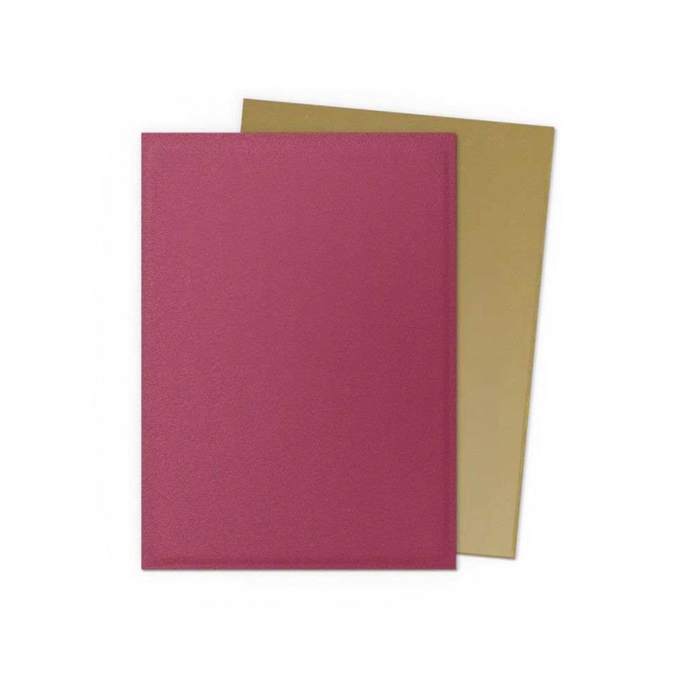 Dragon Shield: Dual Matte (100) – Anniversary Special Edition: Red Gold