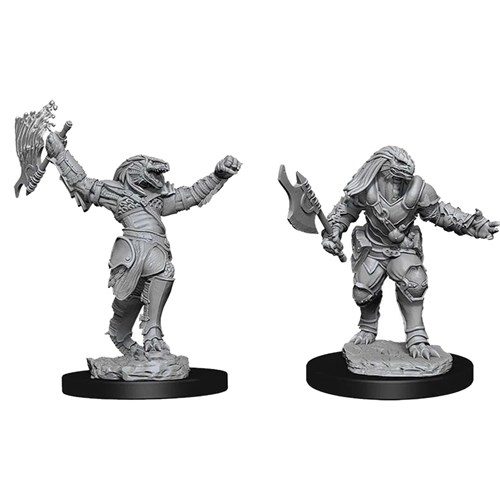 Nolzur's Marvelous Miniatures: Female Dragonborn Fighter