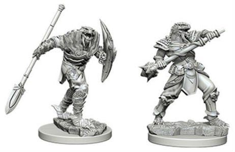 Nolzur's Marvelous Miniatures: Male Dragonborn Fighter with Spear