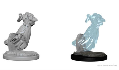 Nolzur's Marvelous Miniatures: Ghosts