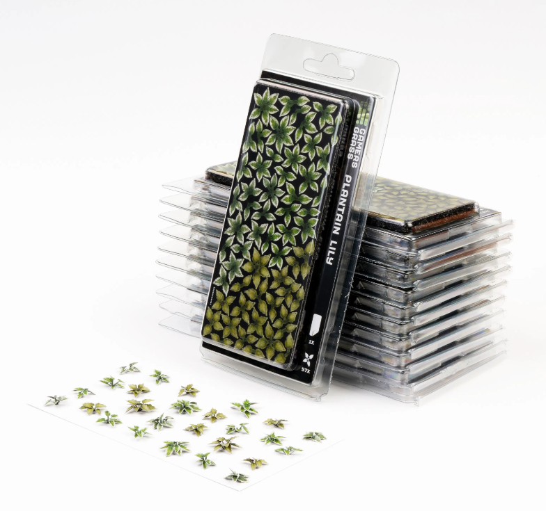 Gamers Grass: Plantain Lily Laser Plants