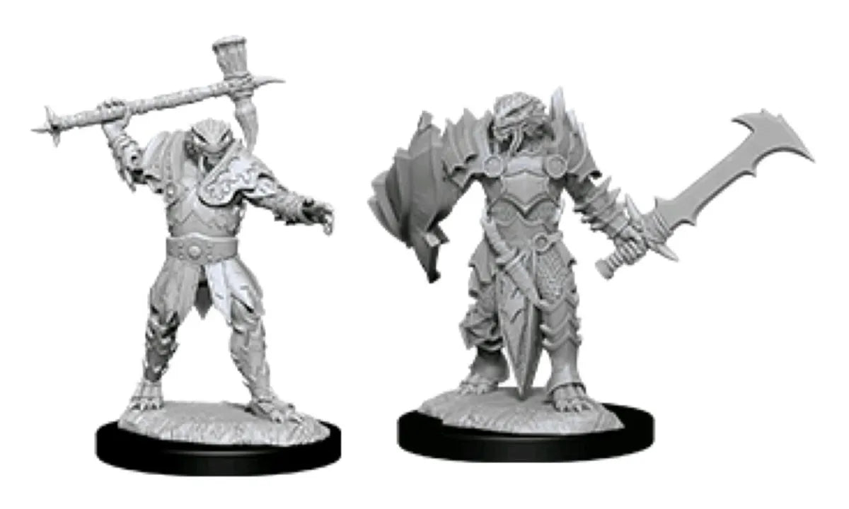 Nolzur's Marvelous Miniatures: Male Dragonborn Paladin W12