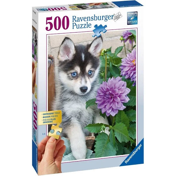 Ravensburger: Cute Husky 500pc