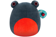Squishmallows: 14" Jameel the Frog