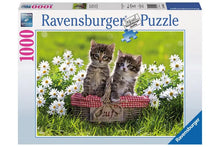 Ravensburger: Picnic in the Meadow 1000pc