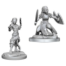 Nolzur's Marvelous Miniatures: Shifter Fighter