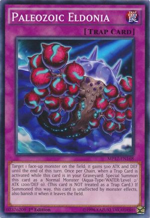 Paleozoic Eldonia [MP17-EN168] Common