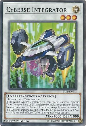 Cyberse Integrator [SAST-EN043] Common