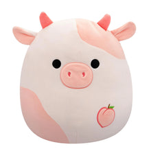 Squishmallows: 14" Lilaz