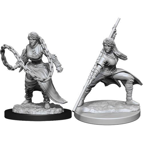 Nolzur's Marvelous Miniatures: Female Human Monk