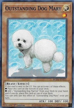 Outstanding Dog Mary [BODE-EN035] Common