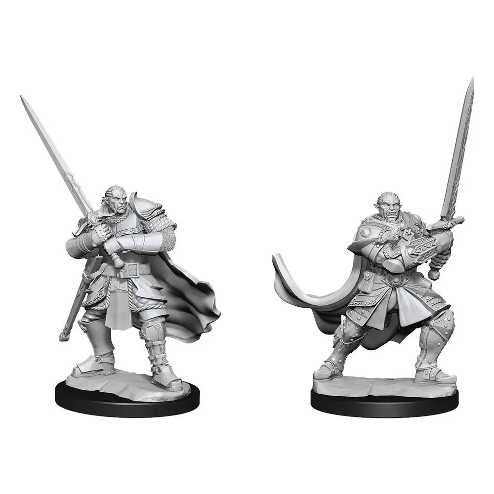 Nolzur's Marvelous Miniatures: Male Half-Orc Paladin