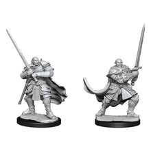 Nolzur's Marvelous Miniatures: Male Half-Orc Paladin