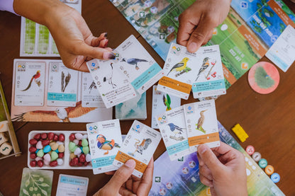 Wingspan: Asia (Expansion)