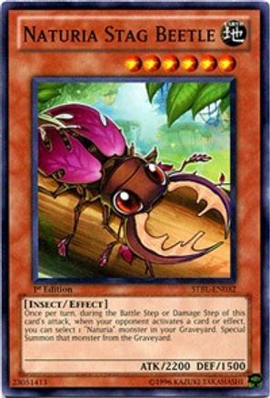Naturia Stag Beetle [STBL-EN032] Common