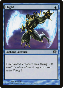 Flight [Eighth Edition]