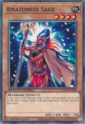 Amazoness Sage [SGX3-END08] Common