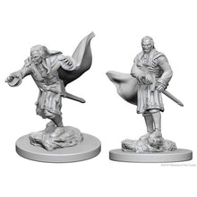 Nolzur's Marvelous Miniatures: Vampires