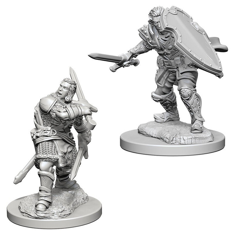 Nolzur's Marvelous Miniatures: Male Human Paladin