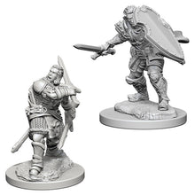 Nolzur's Marvelous Miniatures: Male Human Paladin