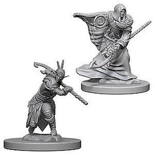 Nolzur's Marvelous Miniatures: Male Elf Druid