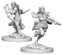 Nolzur's Marvelous Miniatures: Female Air Genasi Rogue