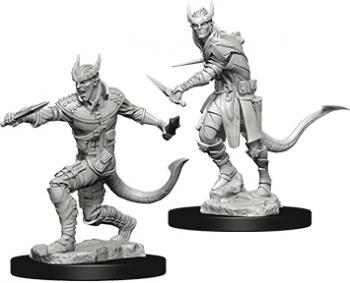 Nolzur's Marvelous Miniatures: Male Tiefling Rogue