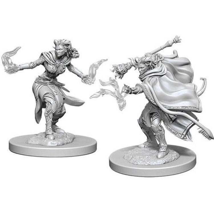 Nolzur's Marvelous Miniatures: Female Tiefling Warlock