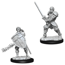 Nolzur's Marvelous Miniatures: Male Human Fighter