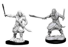 Nolzur's Marvelous Miniatures: Bandits