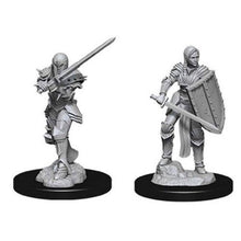 Nolzur's Marvelous Miniatures: Female Human Fighter