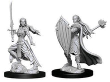 Nolzur's Marvelous Miniatures: Female Elf Paladin