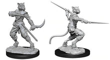 Nolzur's Marvelous Miniatures: Female Tabaxi Rogue