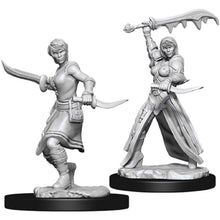 Nolzur's Marvelous Miniatures: Female Human Rogue