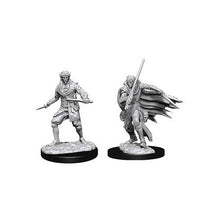 Pathfinder Deep Cuts: Male Elf Rogue